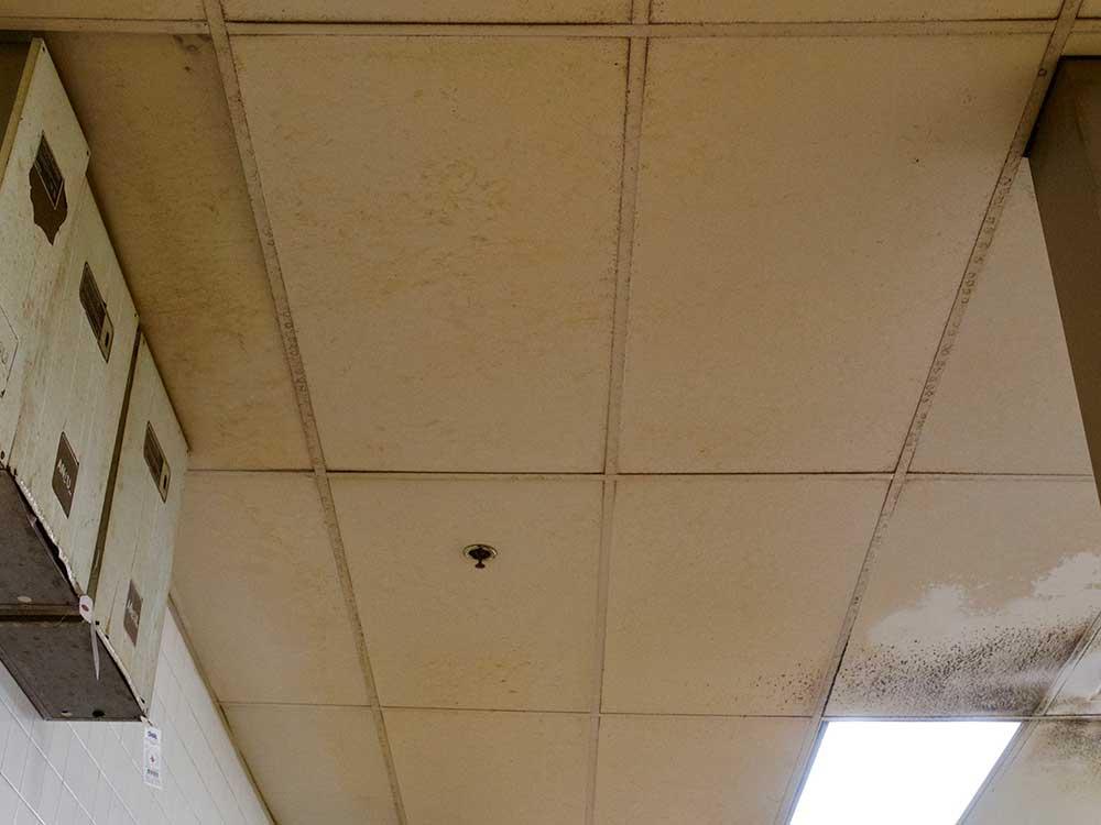 Ceiling Tile Cleaning Before