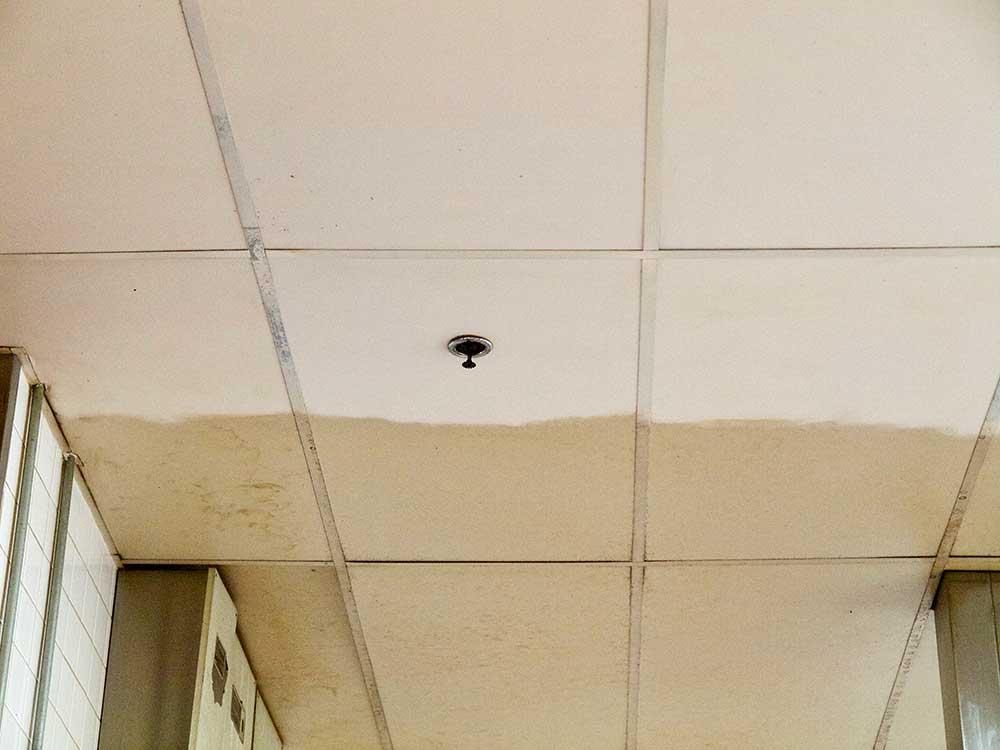 Ceiling Tile Cleaning During